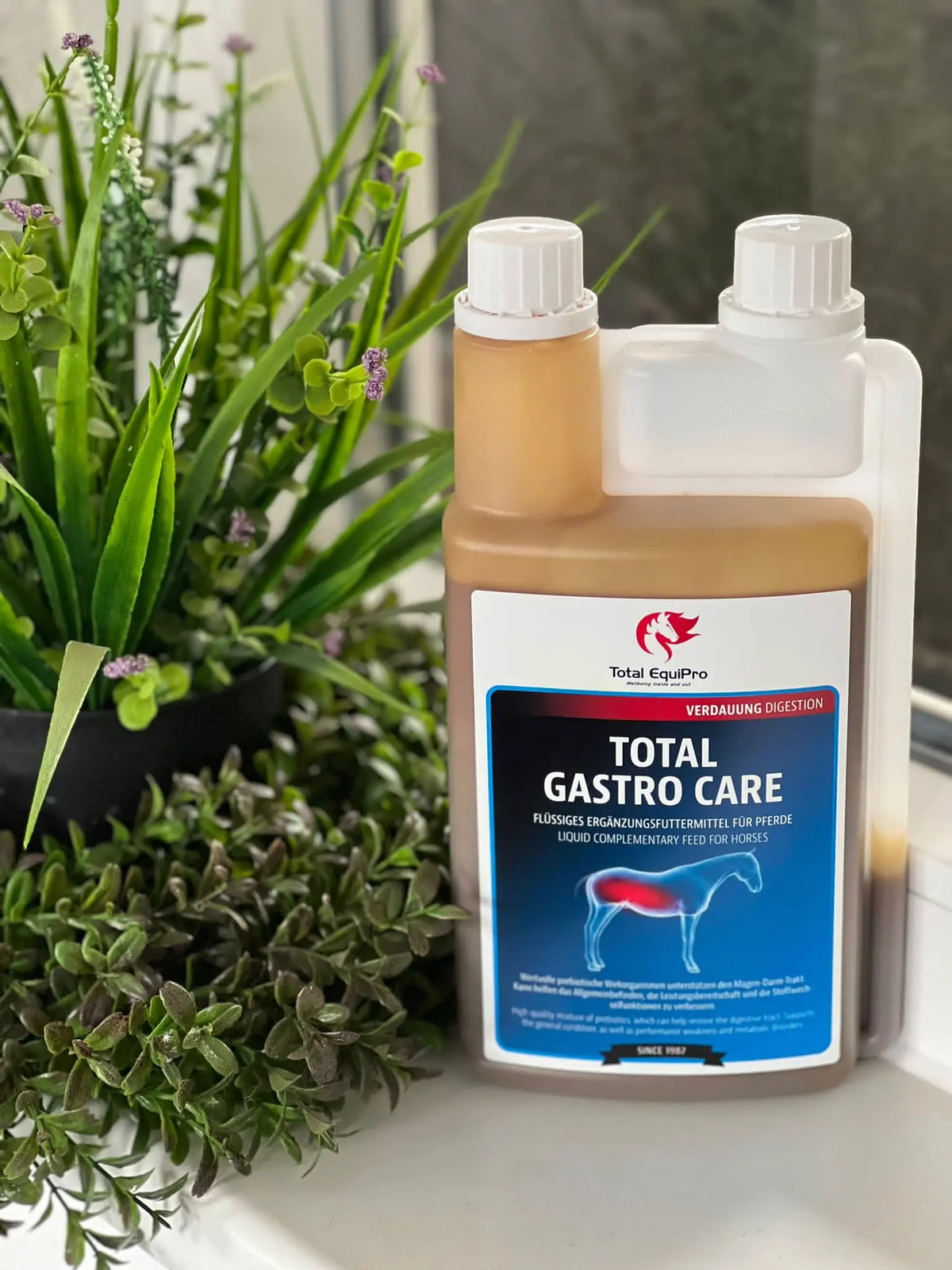 Ein Profuktfoto von dem Total Gastro Care