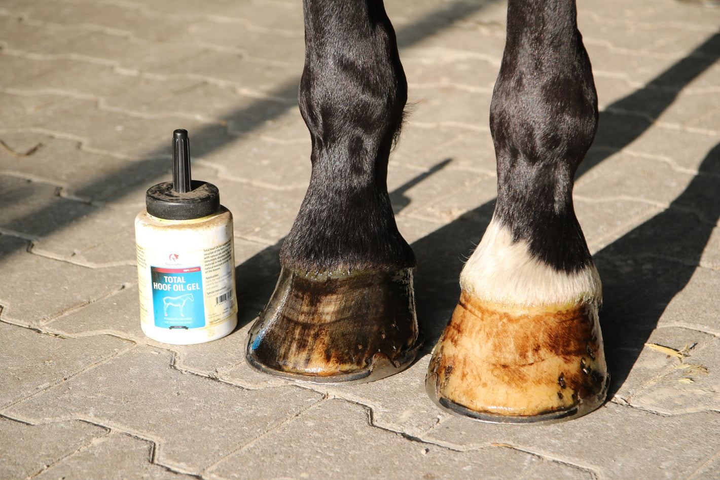 Foto von Pferdehufen und dem Total Hoof Oil Gel, das Bild wurde für eine Kundenbewertung aufgenommen