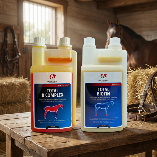 Ein Produktbild von dem Biotin und dem B Complex