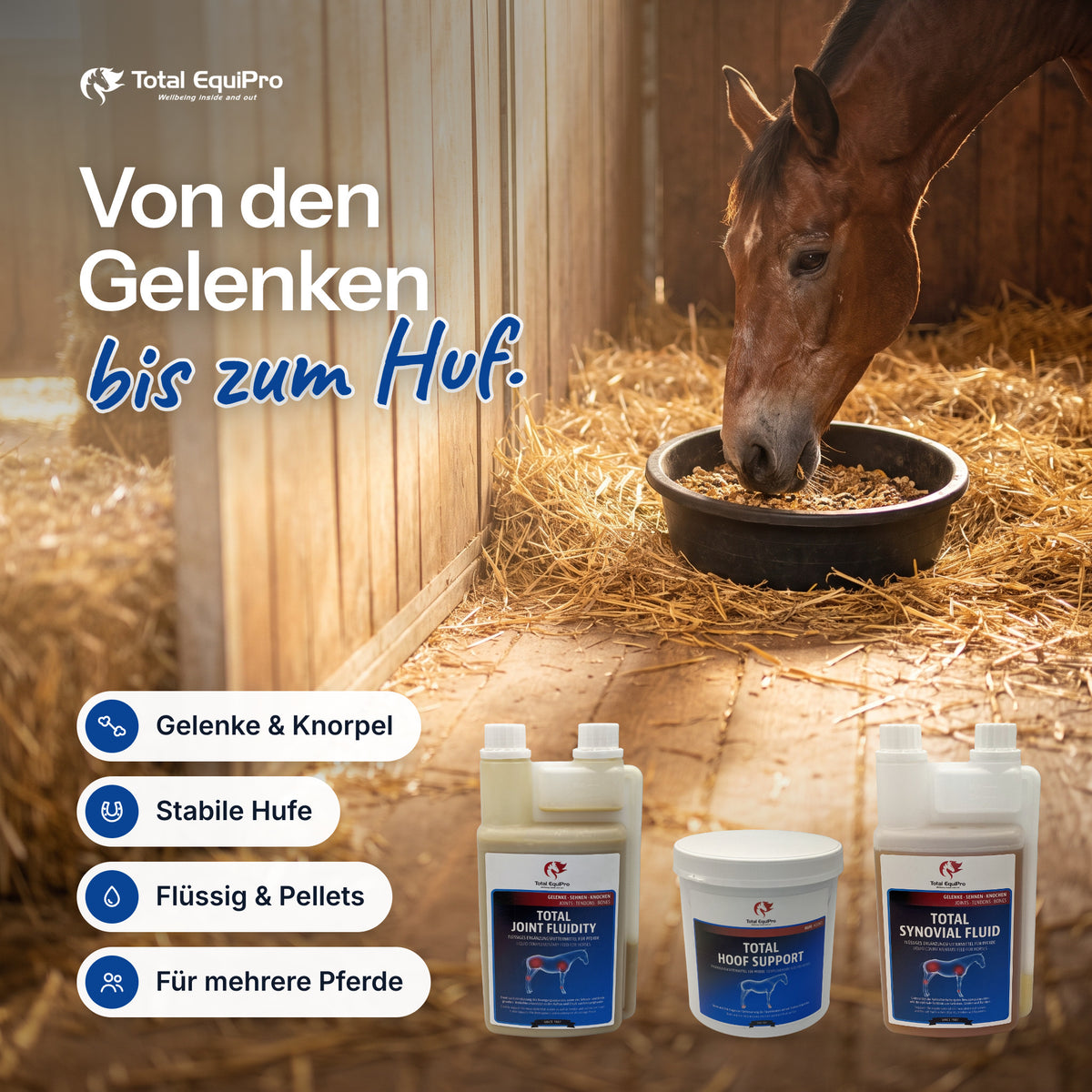 Total Move Free combination set in the stable – from the joints to the hooves.