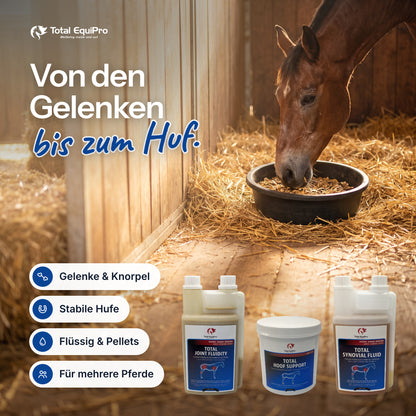 Total Move Free combination set in the stable – from the joints to the hooves.