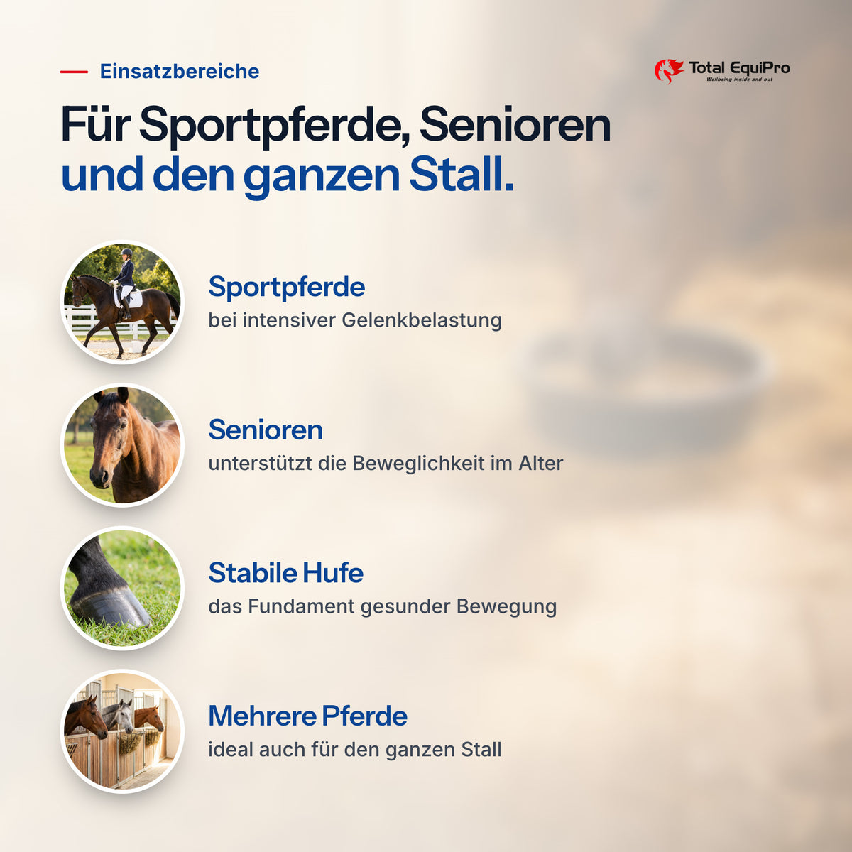 Total Move Free combination set – typical uses: sport horses, veterans, sturdy hooves, several horses