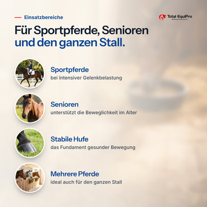 Total Move Free combination set – typical uses: sport horses, veterans, sturdy hooves, several horses