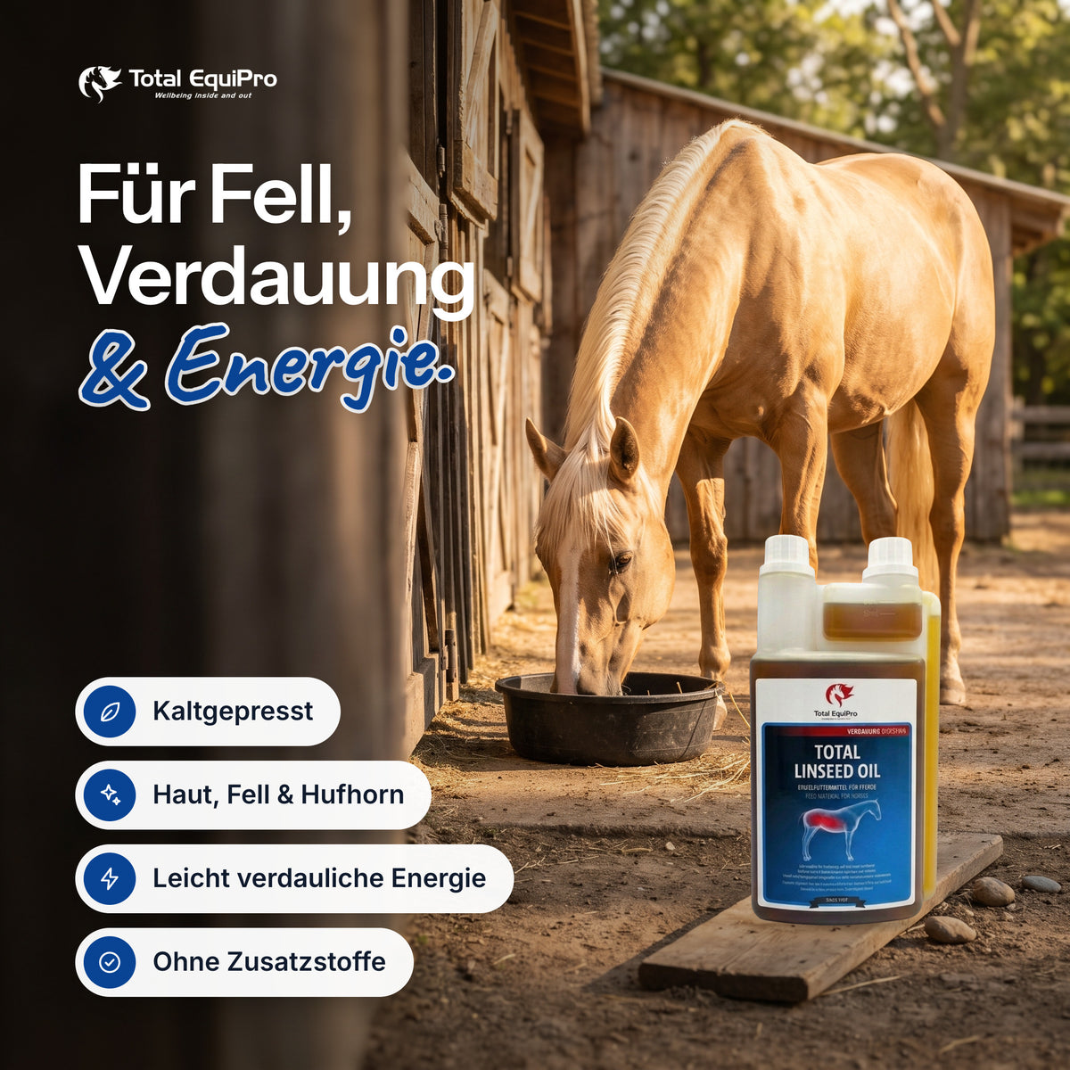 Total Linseed Oil in the stable – for coat, digestion & energy.