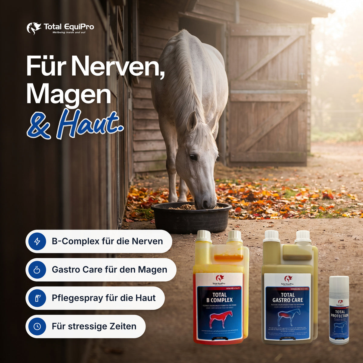 Total combination set in the stable – for nerves, stomach & skin.