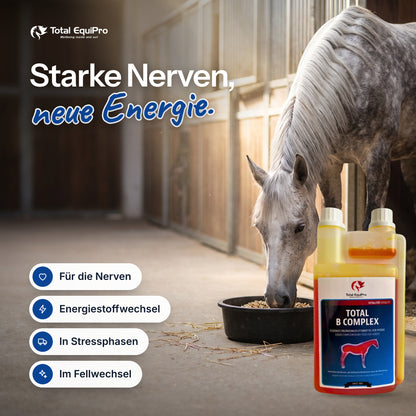 Total B-Complex in the stable – strong nerves, fresh energy.