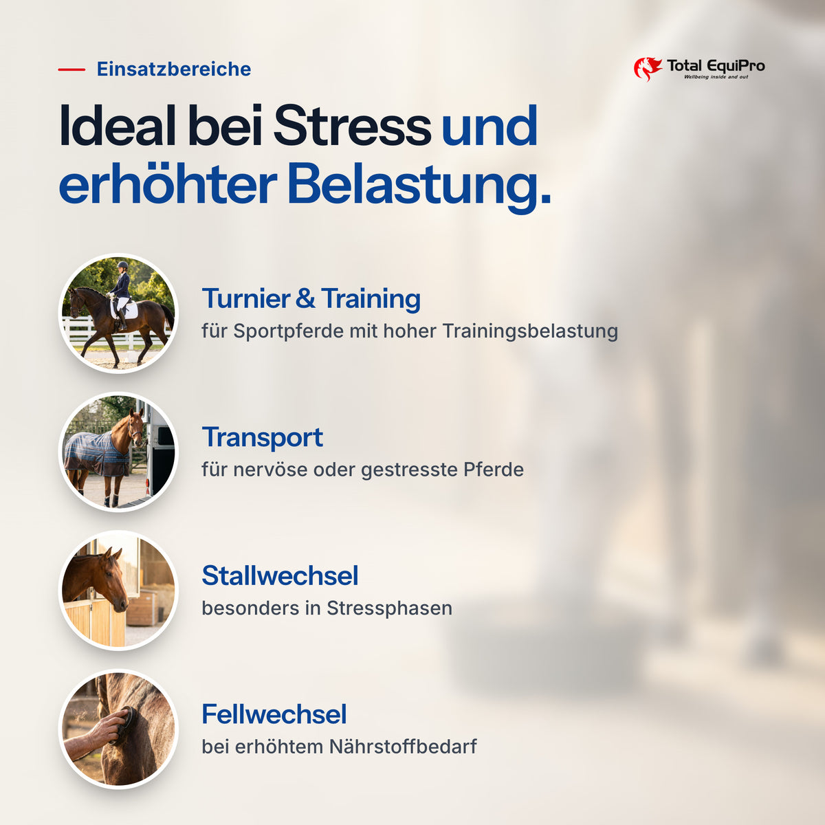 Total B-Complex – typical uses: competitions & training, travel, moving yards, coat change