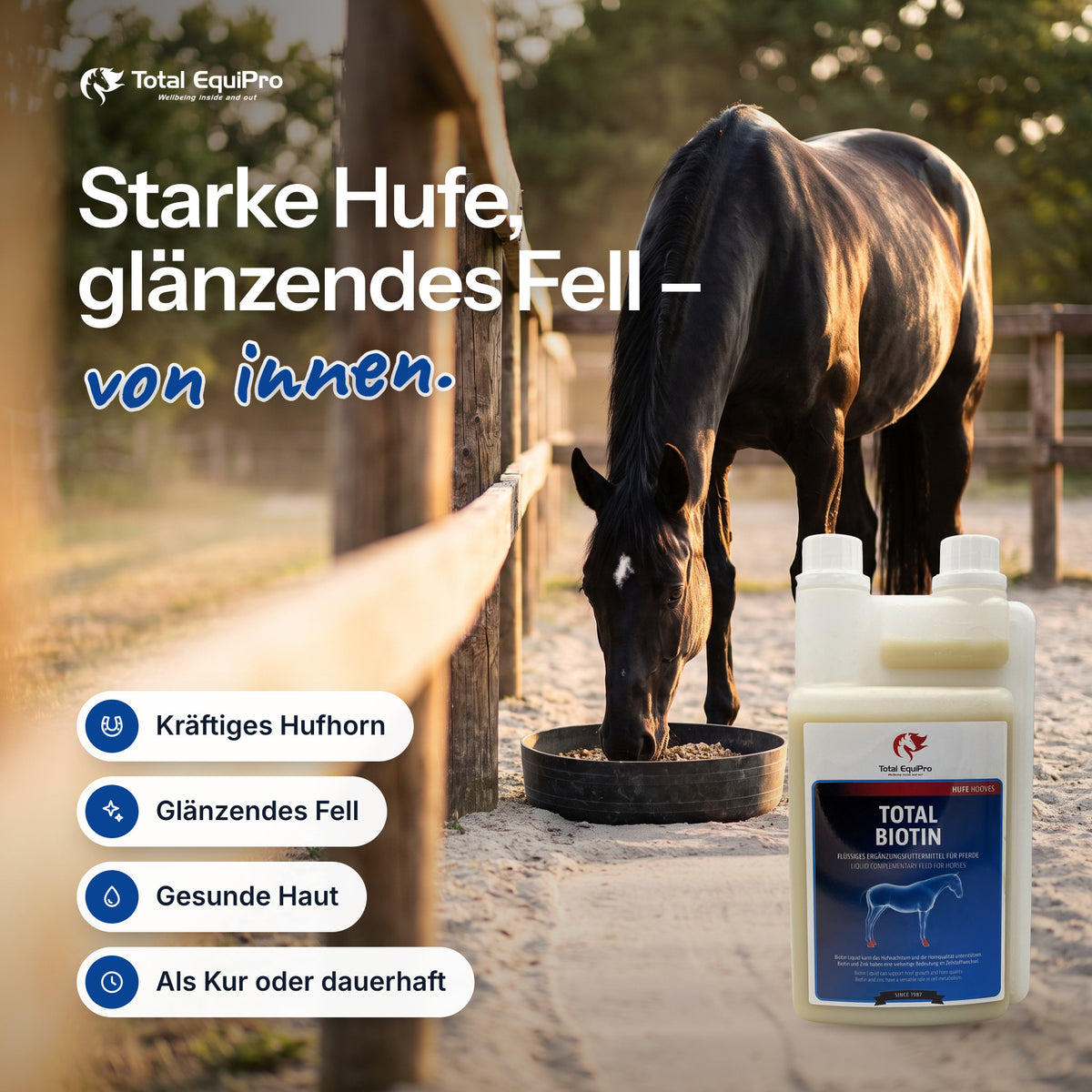 Total Biotin im Stall – Starke Hufe, glänzendes Fell – von innen.