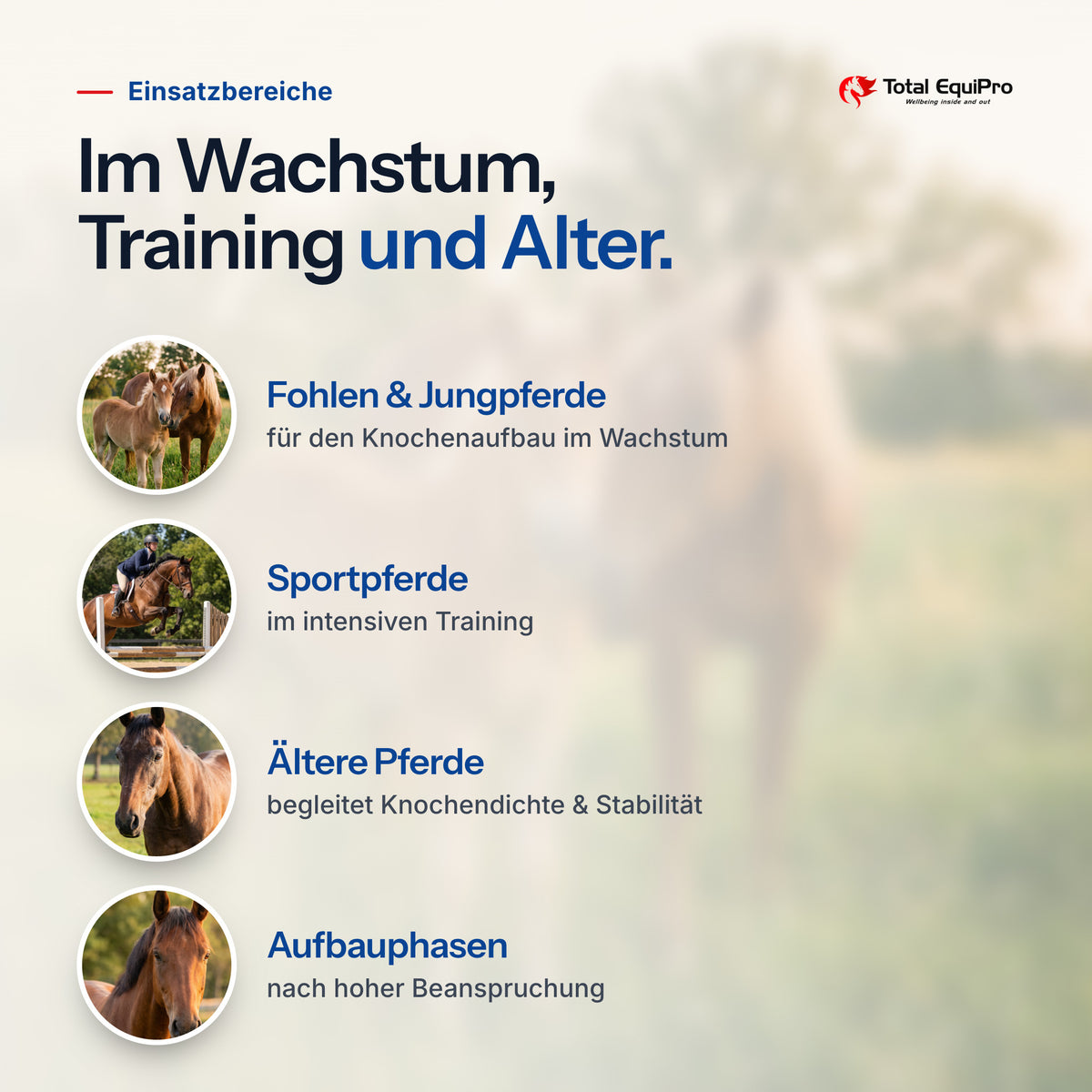 Total Bones – typical uses: foals & young horses, sport horses, older horses, build-up phases