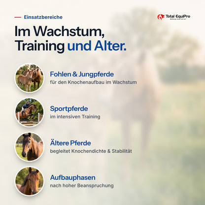 Total Bones – typical uses: foals & young horses, sport horses, older horses, build-up phases