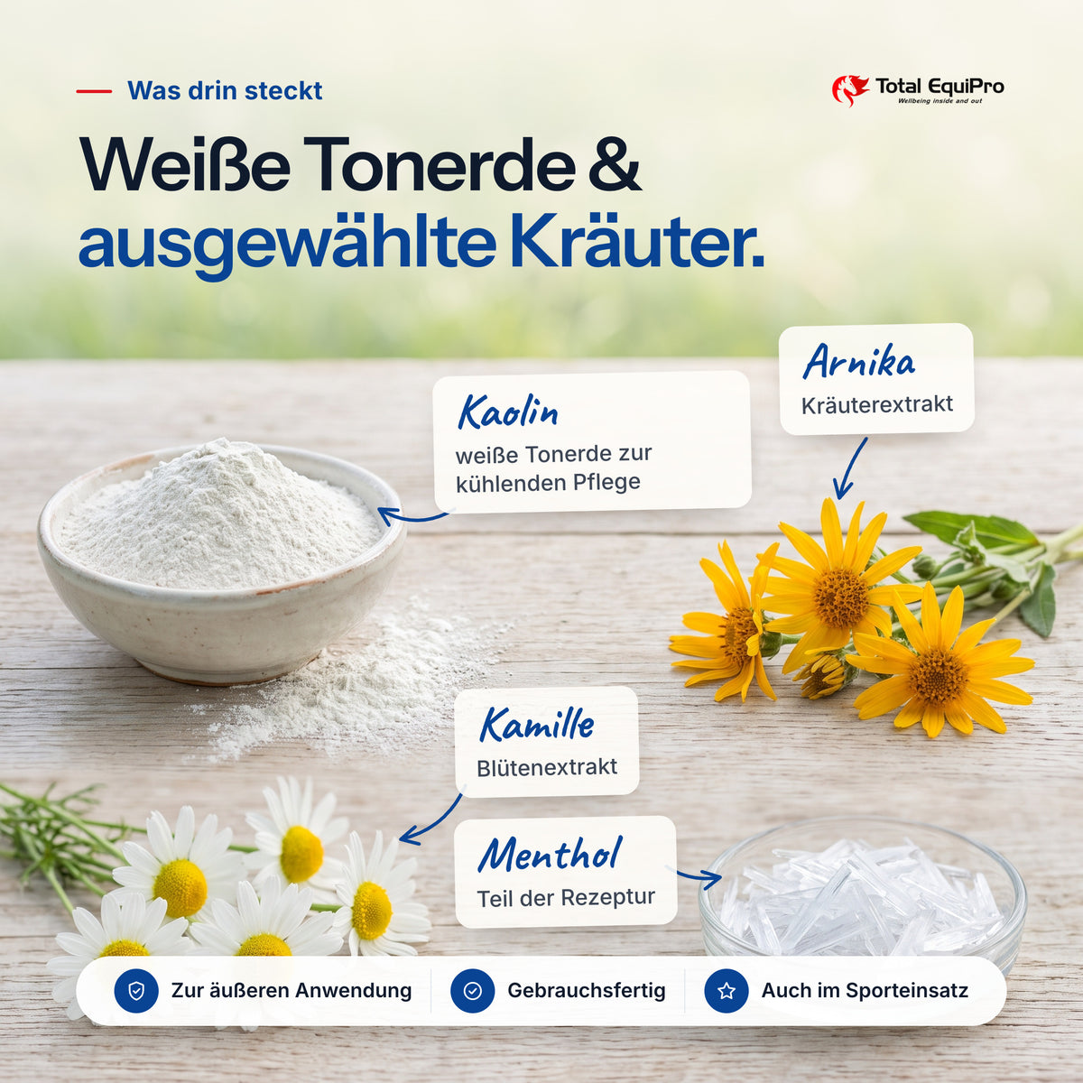 Total Clay Paste – ingredients: kaolin, arnica, chamomile, menthol