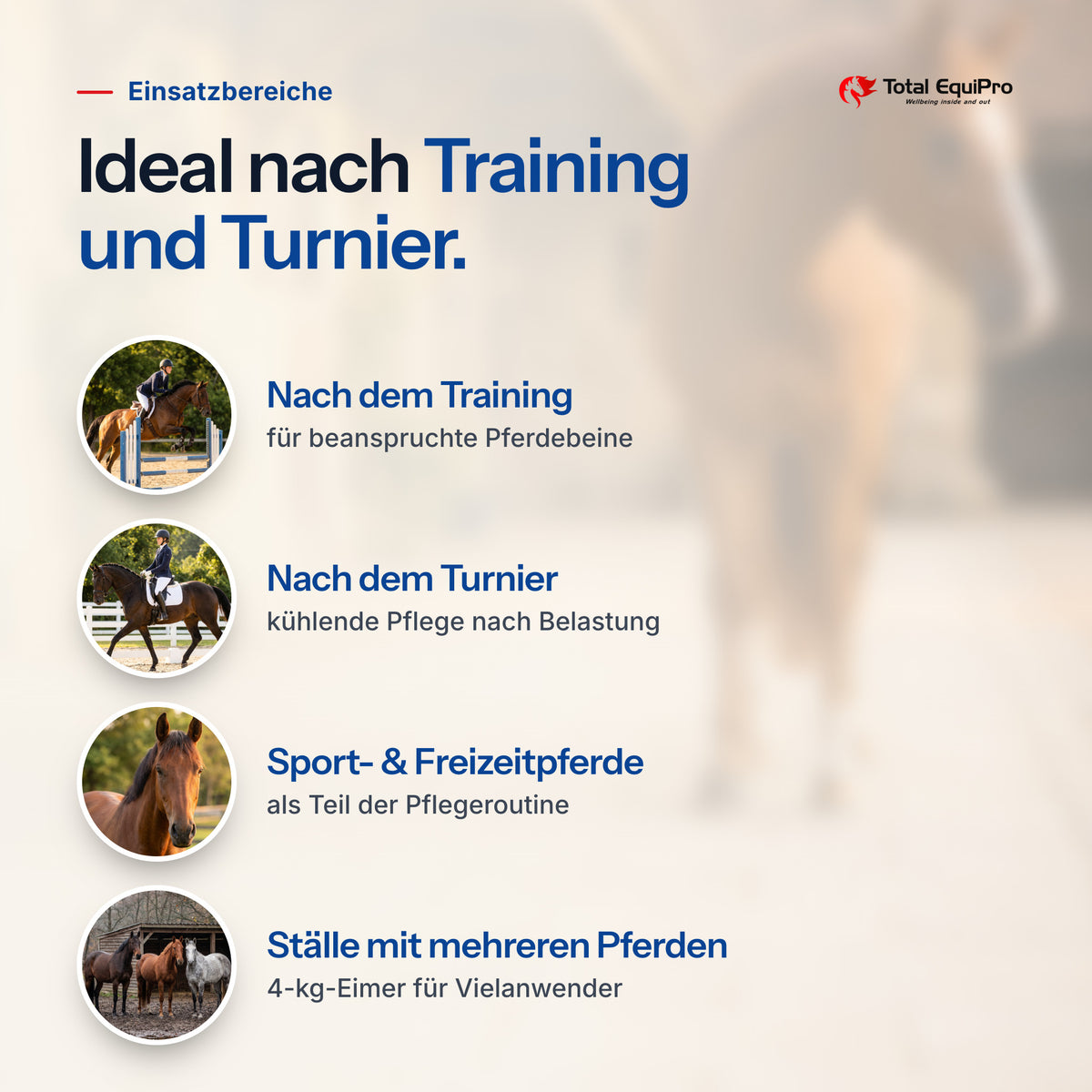 Total Clay Paste – typical uses: after training, after competitions, sport & leisure horses, yards with several horses