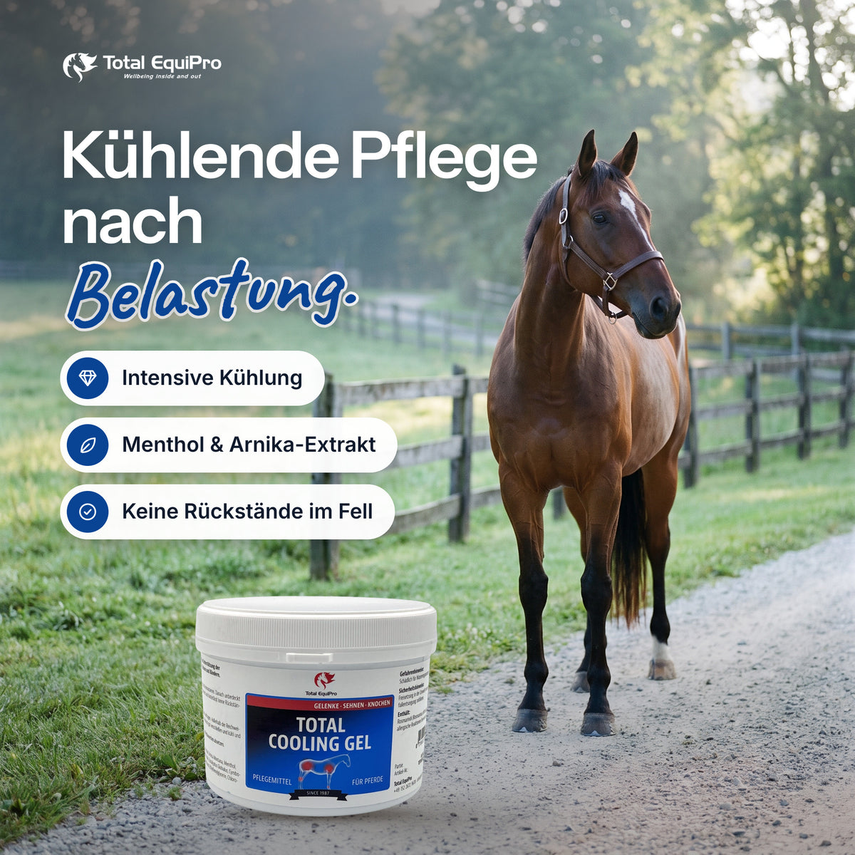 Total Cooling Gel in the stable – cooling care after exertion.