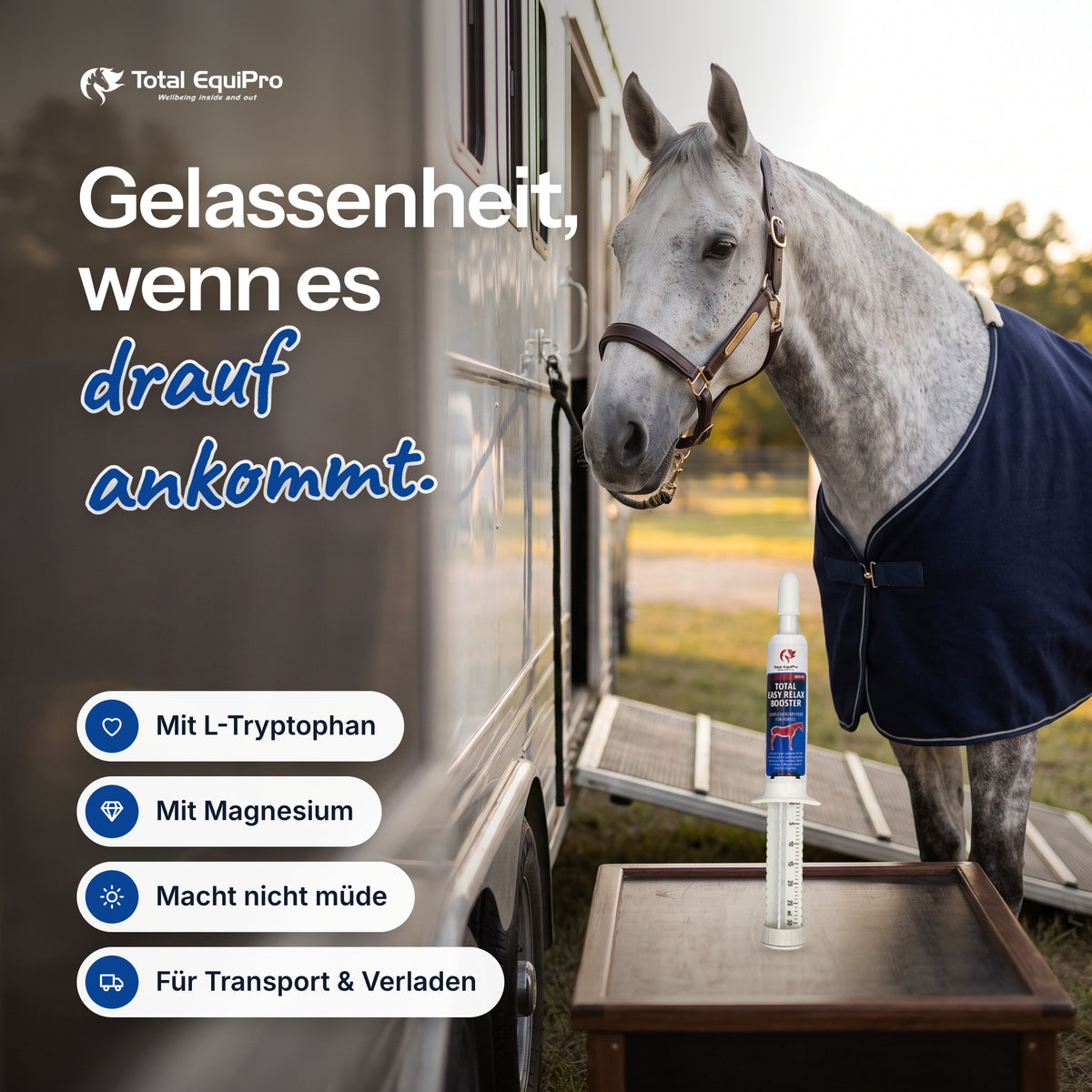 Total Easy Relax Booster in the stable – composure when it counts.