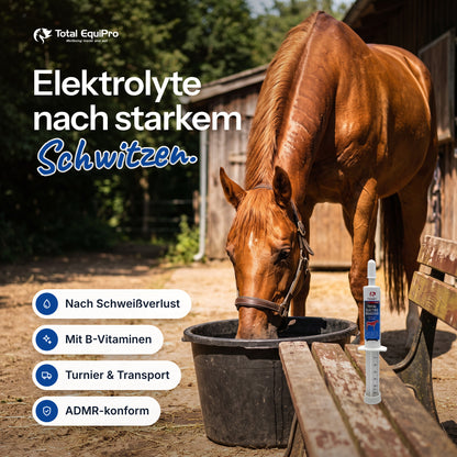 Total Electro Booster in the stable – electrolytes after heavy sweating.