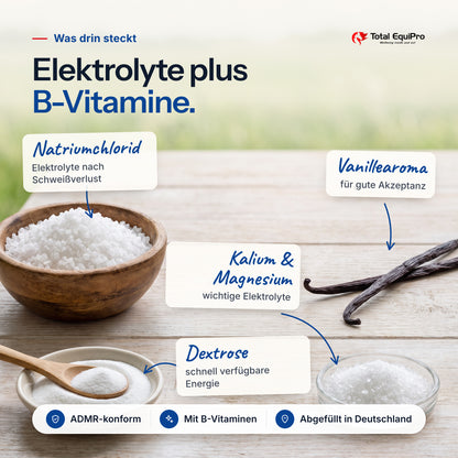 Total Electro Booster – ingredients: sodium chloride, vanilla flavouring, potassium & magnesium, dextrose