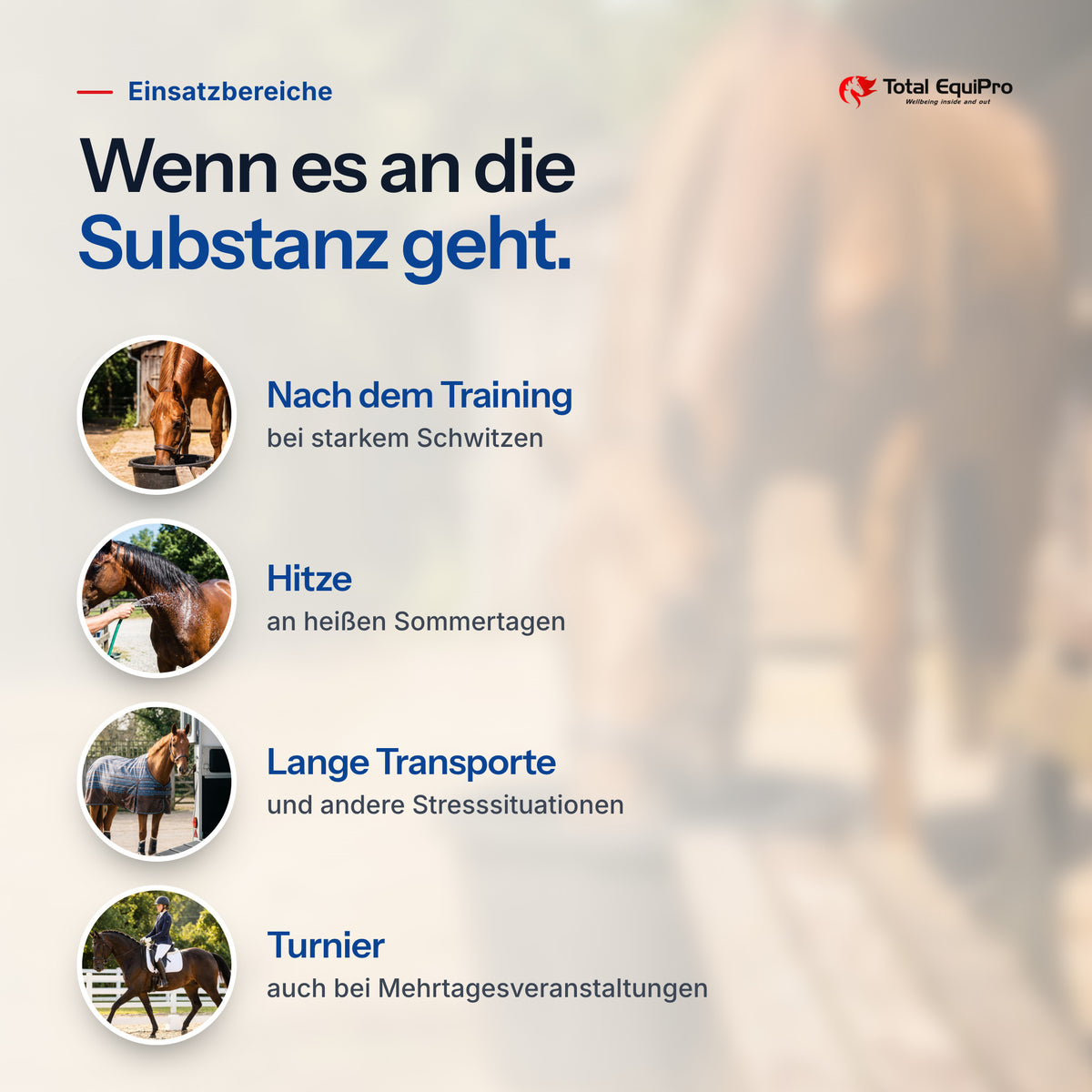 Total Electro Booster – typical uses: after training, hot weather, long journeys, competitions