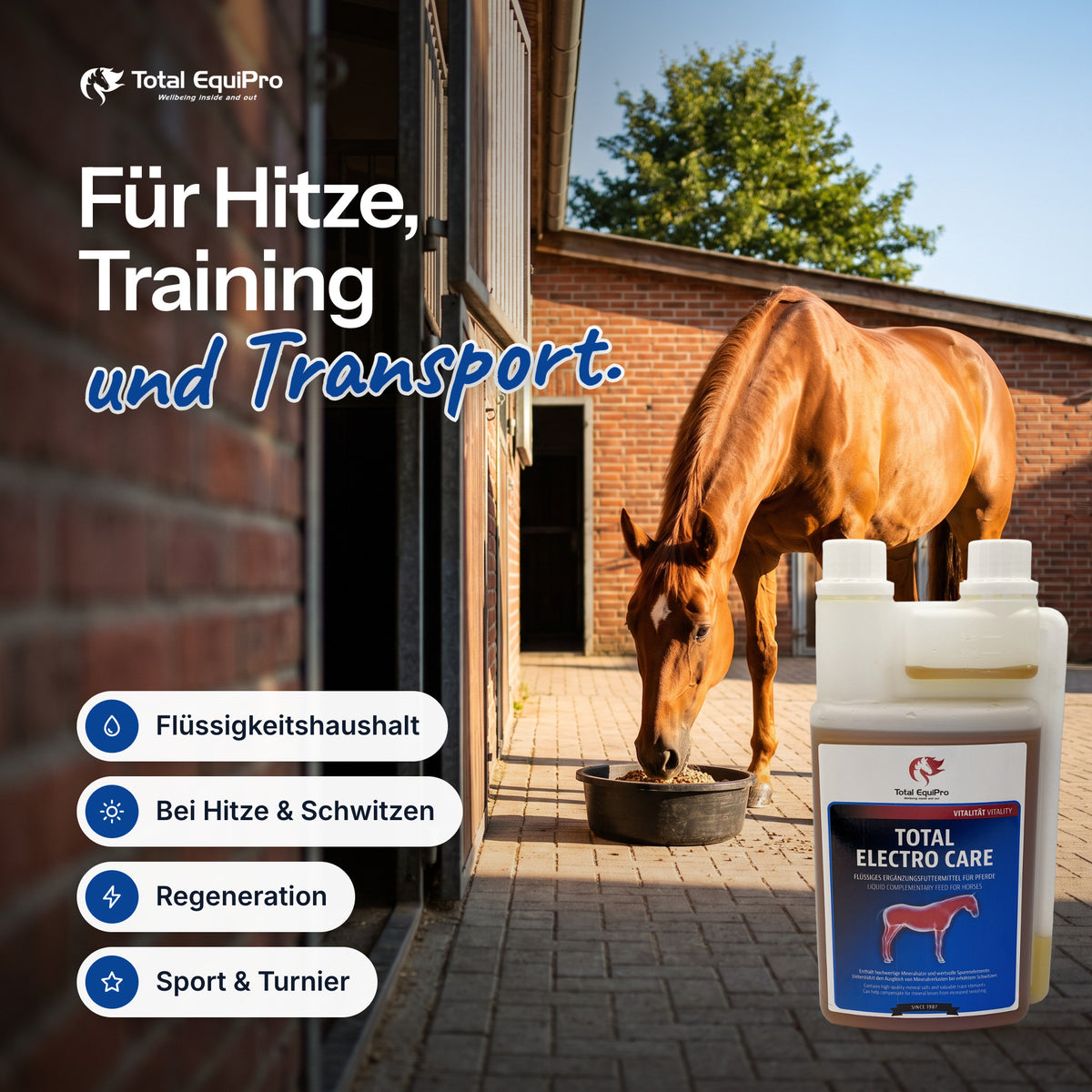 Total Electro Care in the stable – for hot weather, training and travel.