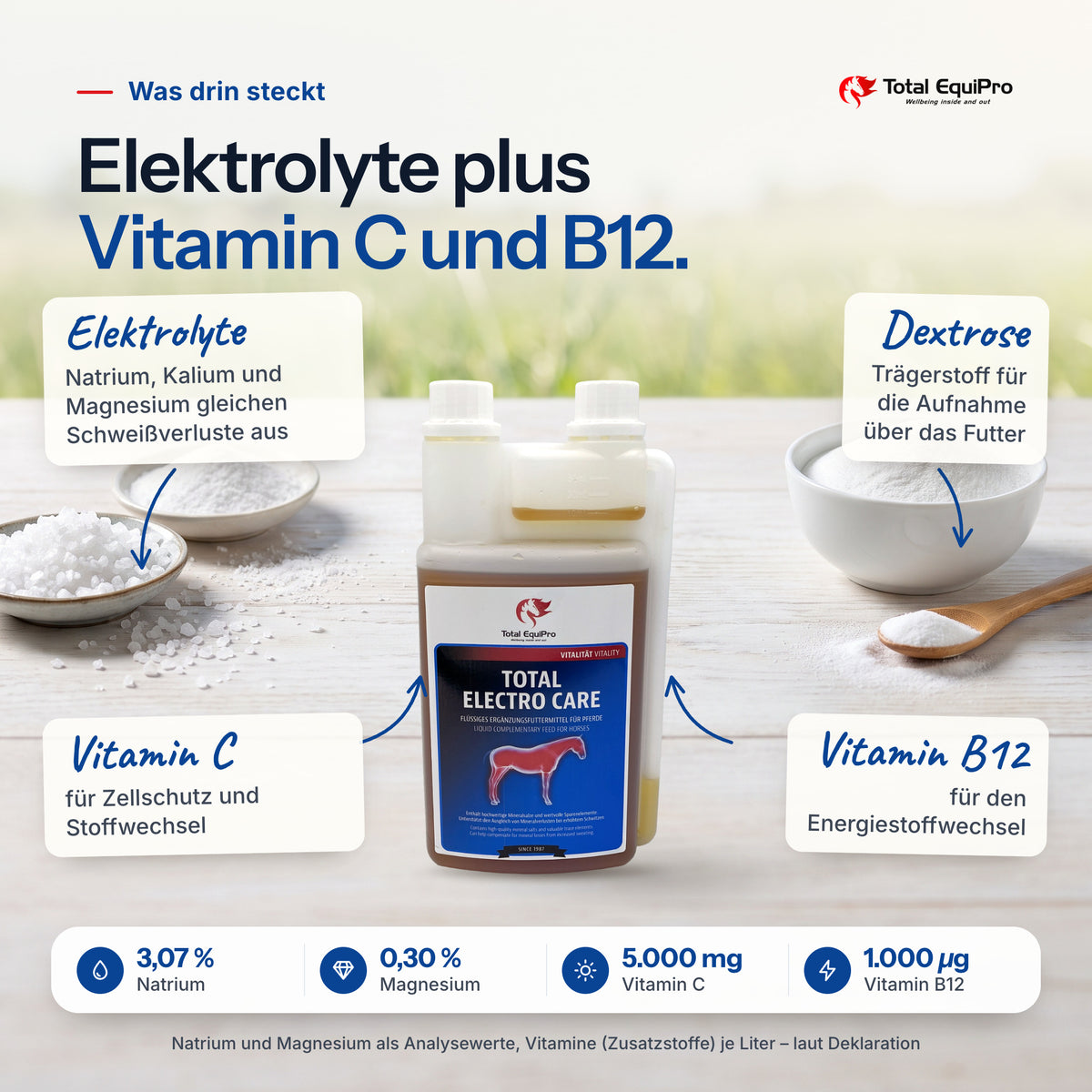 Total Electro Care – ingredients: electrolytes, dextrose, vitamin C, vitamin B12