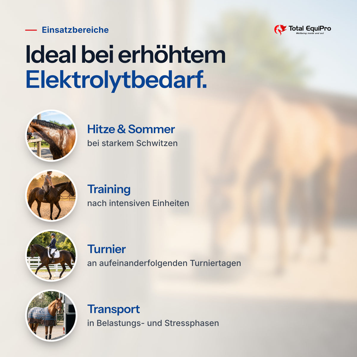 Total Electro Care – typical uses: heat & summer, training, competitions, travel