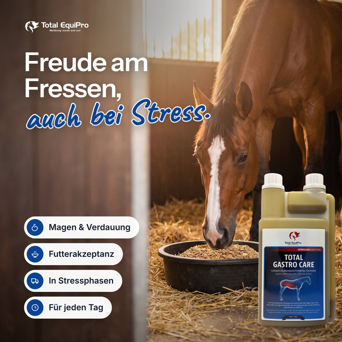 Total Gastro Care im Stall – Freude am Fressen, auch bei Stress.