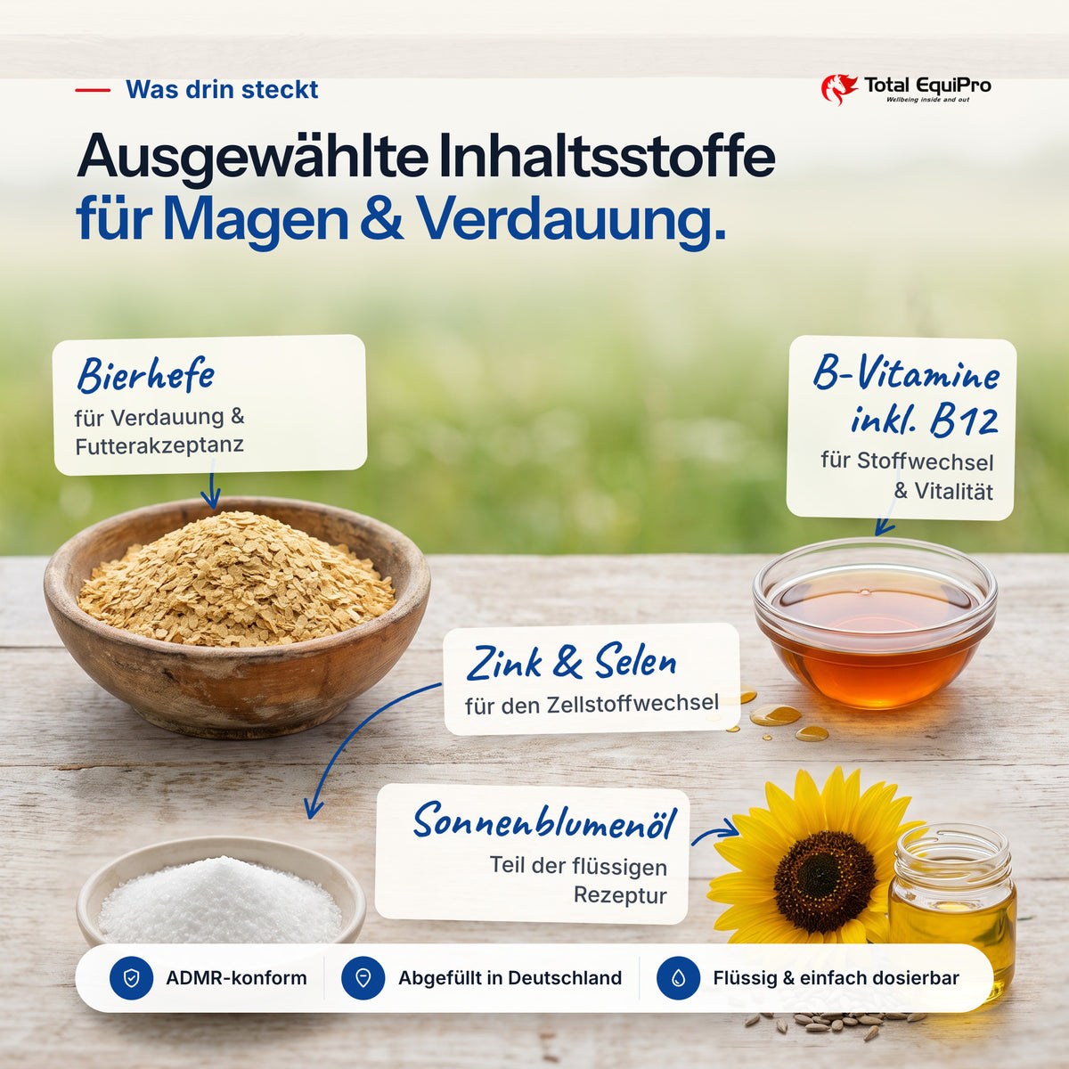 Total Gastro Care – Inhaltsstoffe: Bierhefe, B-Vitamine inkl. B12, Zink & Selen, Sonnenblumenöl