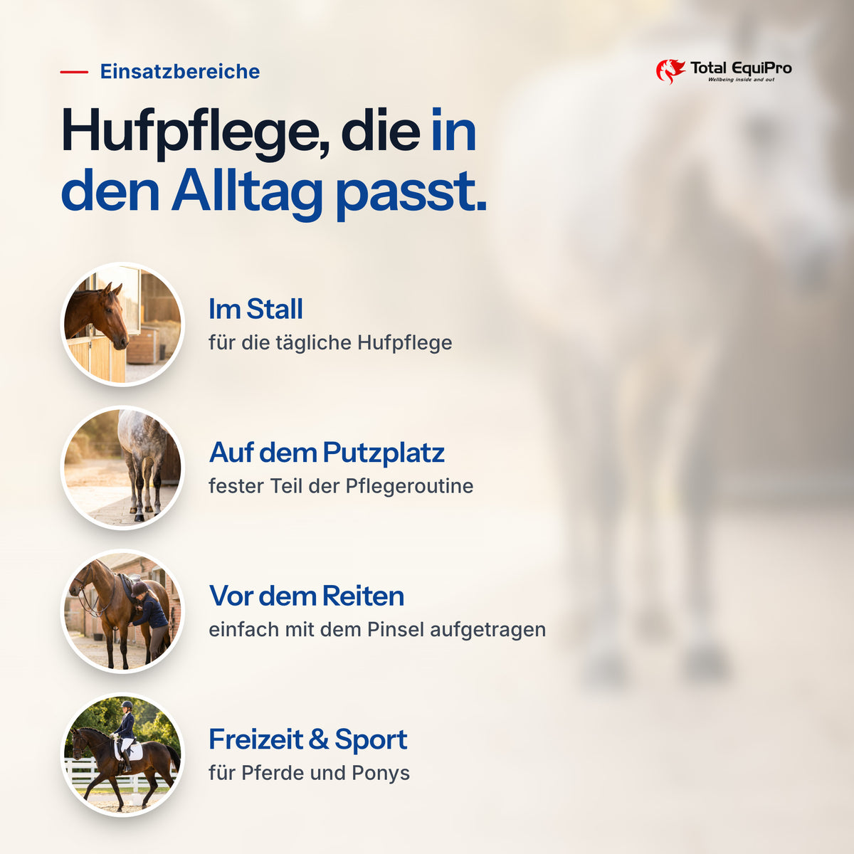 Total Hoof Balm – Einsatzbereiche: Im Stall, Auf dem Putzplatz, Vor dem Reiten, Freizeit & Sport