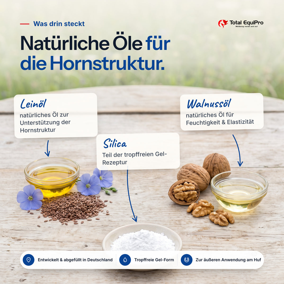 Total Hoof Oil Gel – ingredients: linseed oil, walnut oil, silica