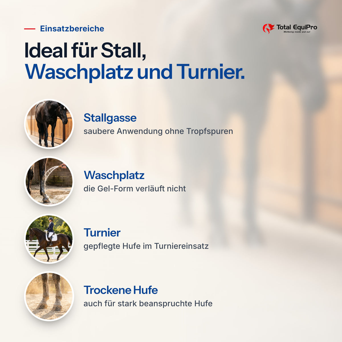 Total Hoof Oil Gel – typical uses: stable aisle, wash bay, competitions, dry hooves