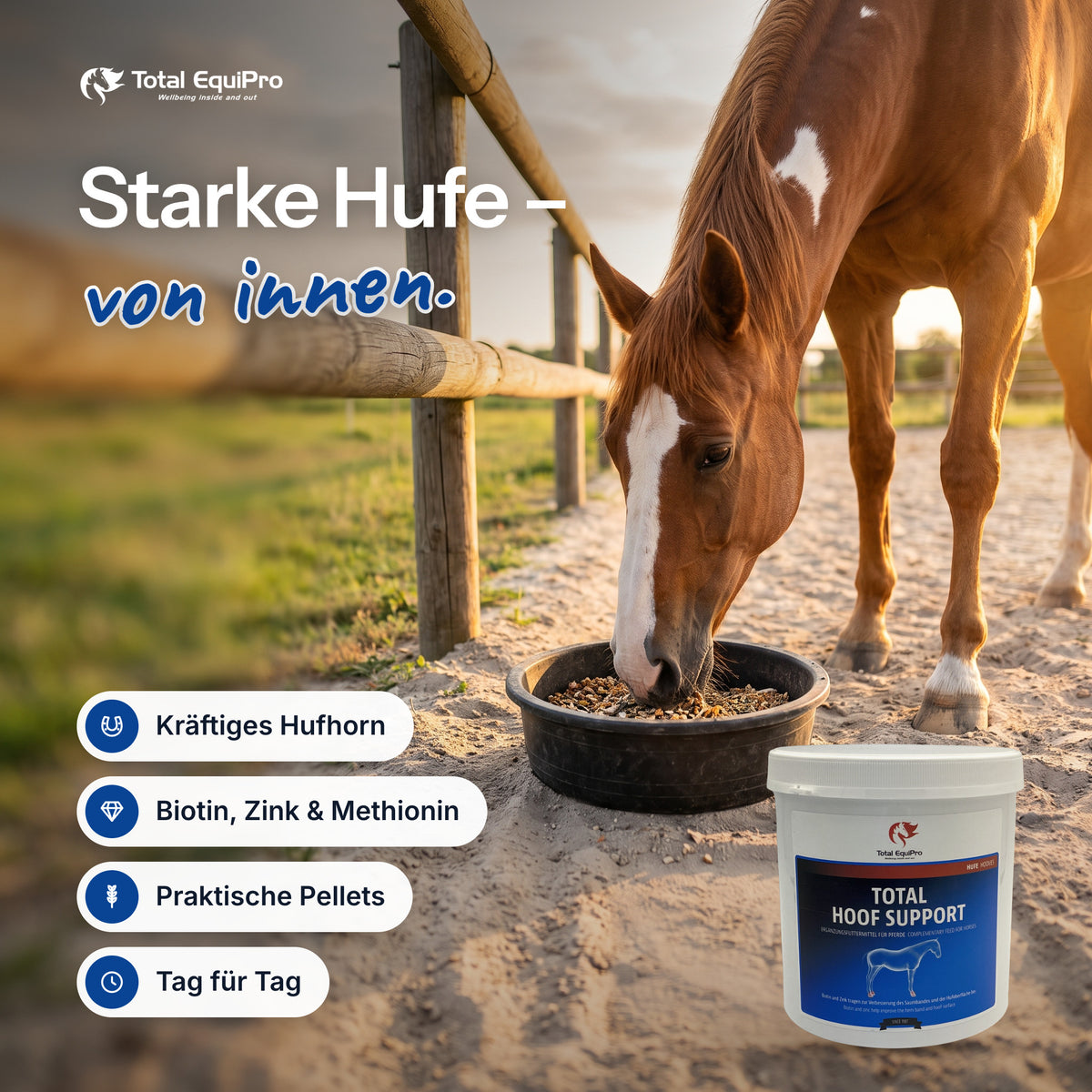 Total Hoof Support im Stall – Starke Hufe – von innen.