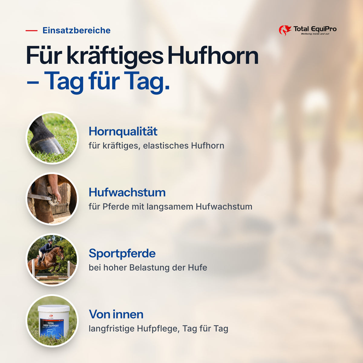 Total Hoof Support – Einsatzbereiche: Hornqualität, Hufwachstum, Sportpferde, Von innen