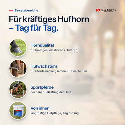 Total Hoof Support – Einsatzbereiche: Hornqualität, Hufwachstum, Sportpferde, Von innen