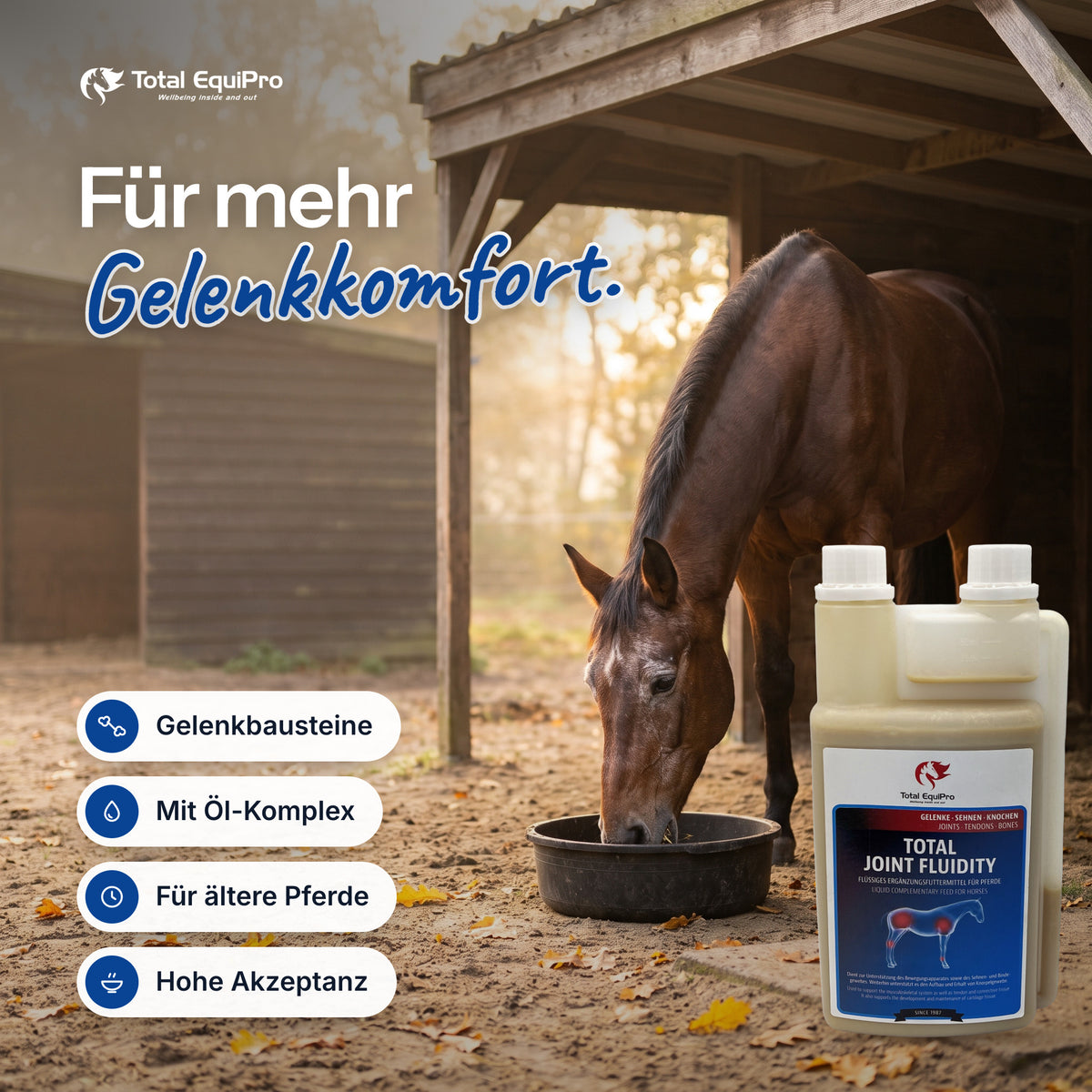 Total Joint Fluidity in the stable – for greater joint comfort.