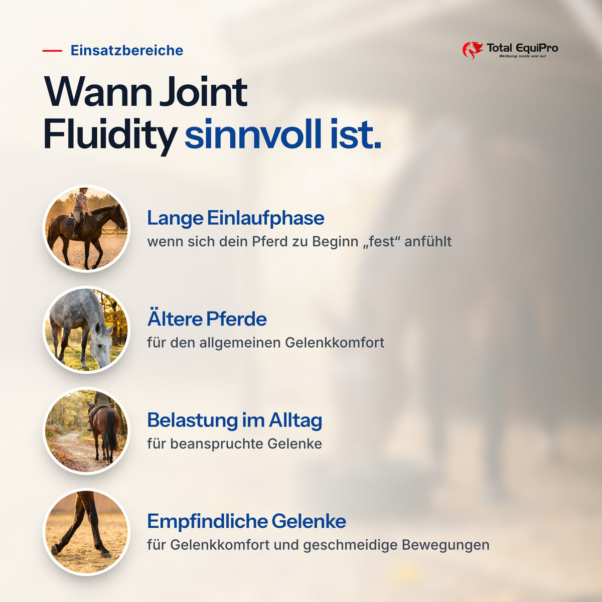 Total Joint Fluidity – typical uses: long warm-ups, older horses, everyday workload, sensitive joints
