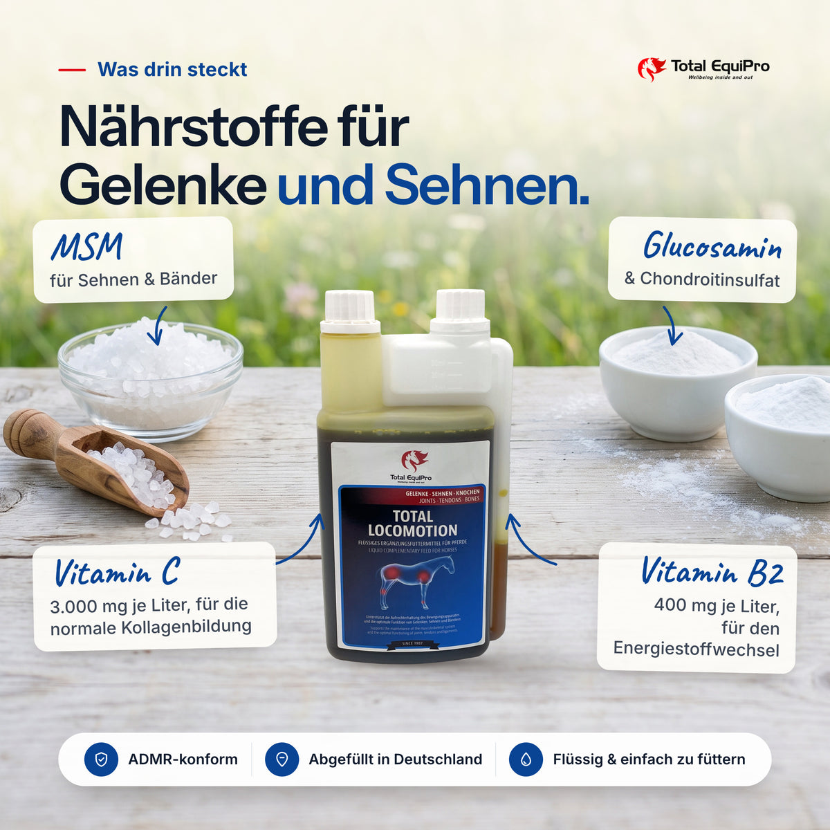 Total Locomotion – ingredients: MSM, glucosamine, vitamin C, vitamin B2