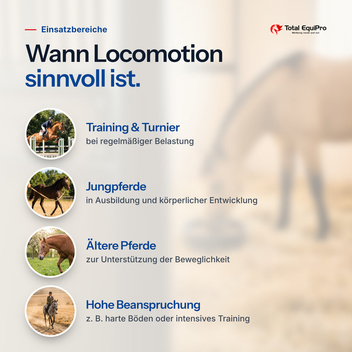 Total Locomotion – typical uses: training & competitions, young horses, older horses, heavy workloads
