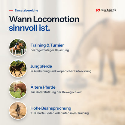 Total Locomotion – typical uses: training & competitions, young horses, older horses, heavy workloads