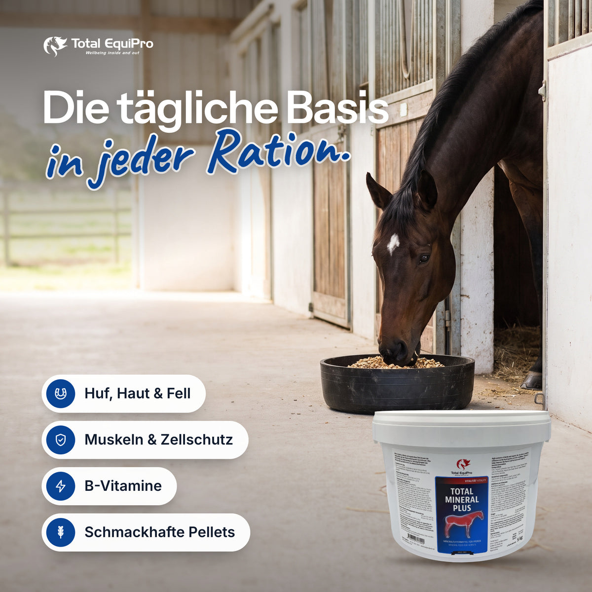 Total Mineral Plus in the stable – the daily foundation of every ration.