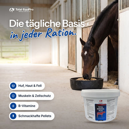 Total Mineral Plus in the stable – the daily foundation of every ration.