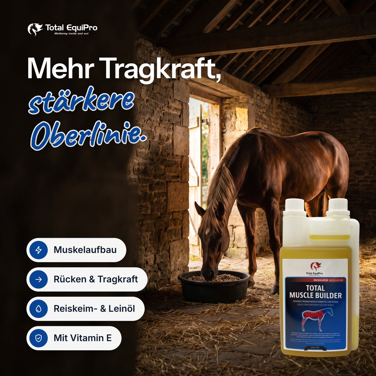 Total Muscle Builder in the stable – more carrying power, a stronger topline.