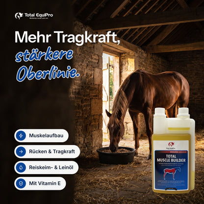 Total Muscle Builder in the stable – more carrying power, a stronger topline.