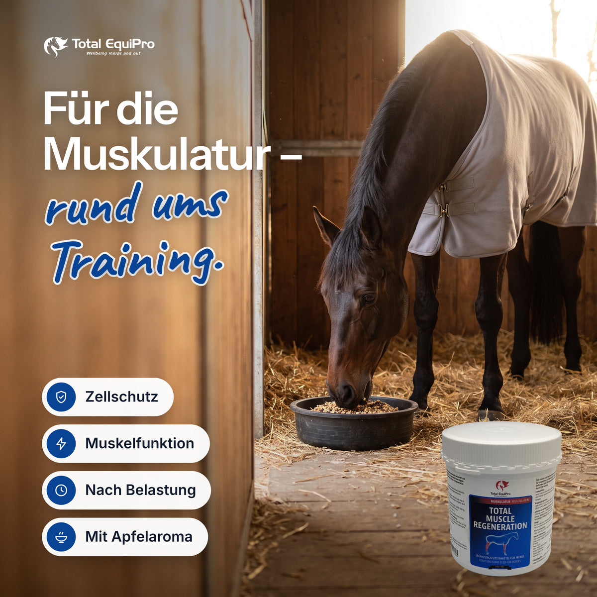 Total Muscle Regeneration in the stable – for the muscles – alongside training.