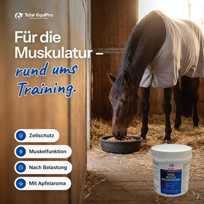 Total Muscle Regeneration in the stable – for the muscles – alongside training.