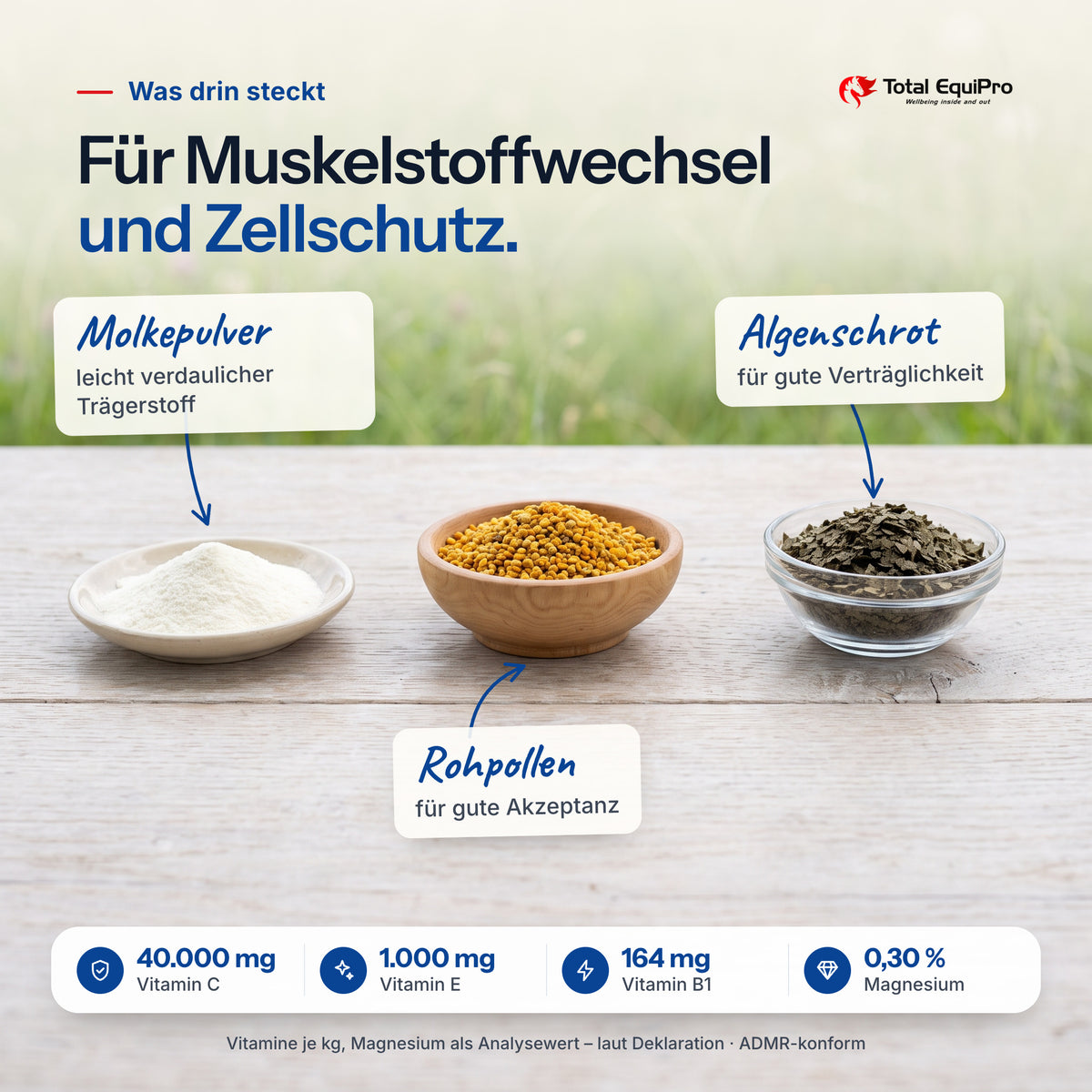 Total Muscle Regeneration – ingredients: whey powder, seaweed meal, raw pollen