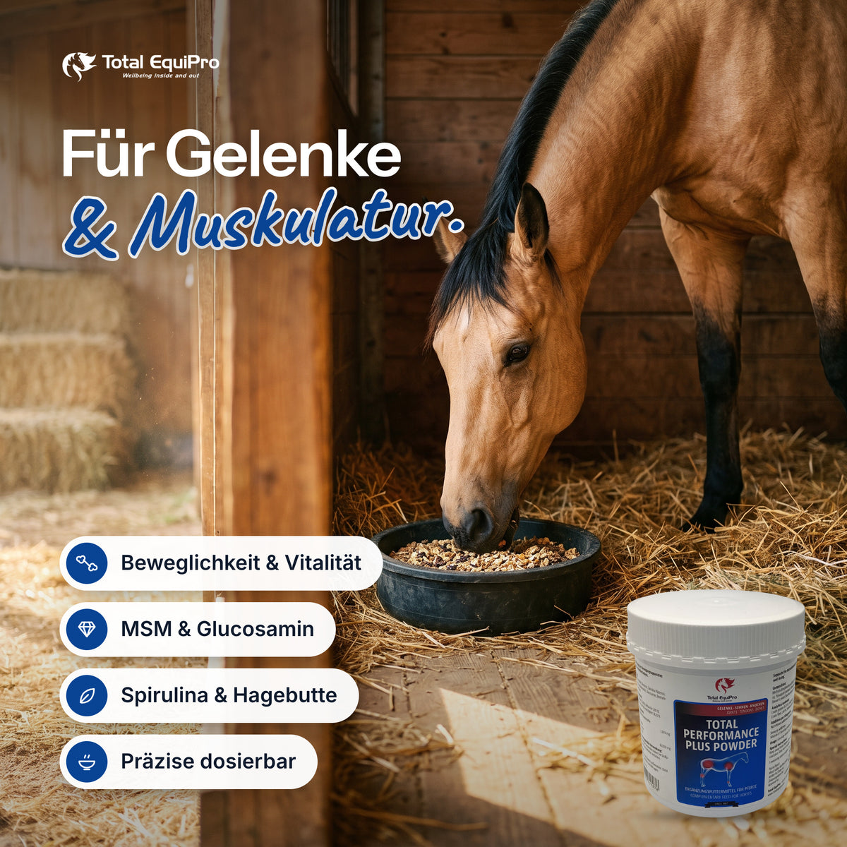 Total Performance Plus Powder in the stable – for joints & muscles.