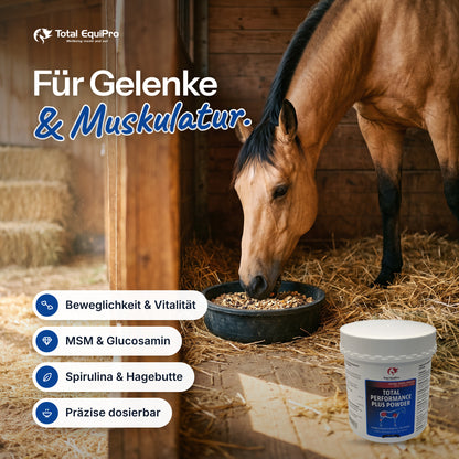 Total Performance Plus Powder in the stable – for joints & muscles.