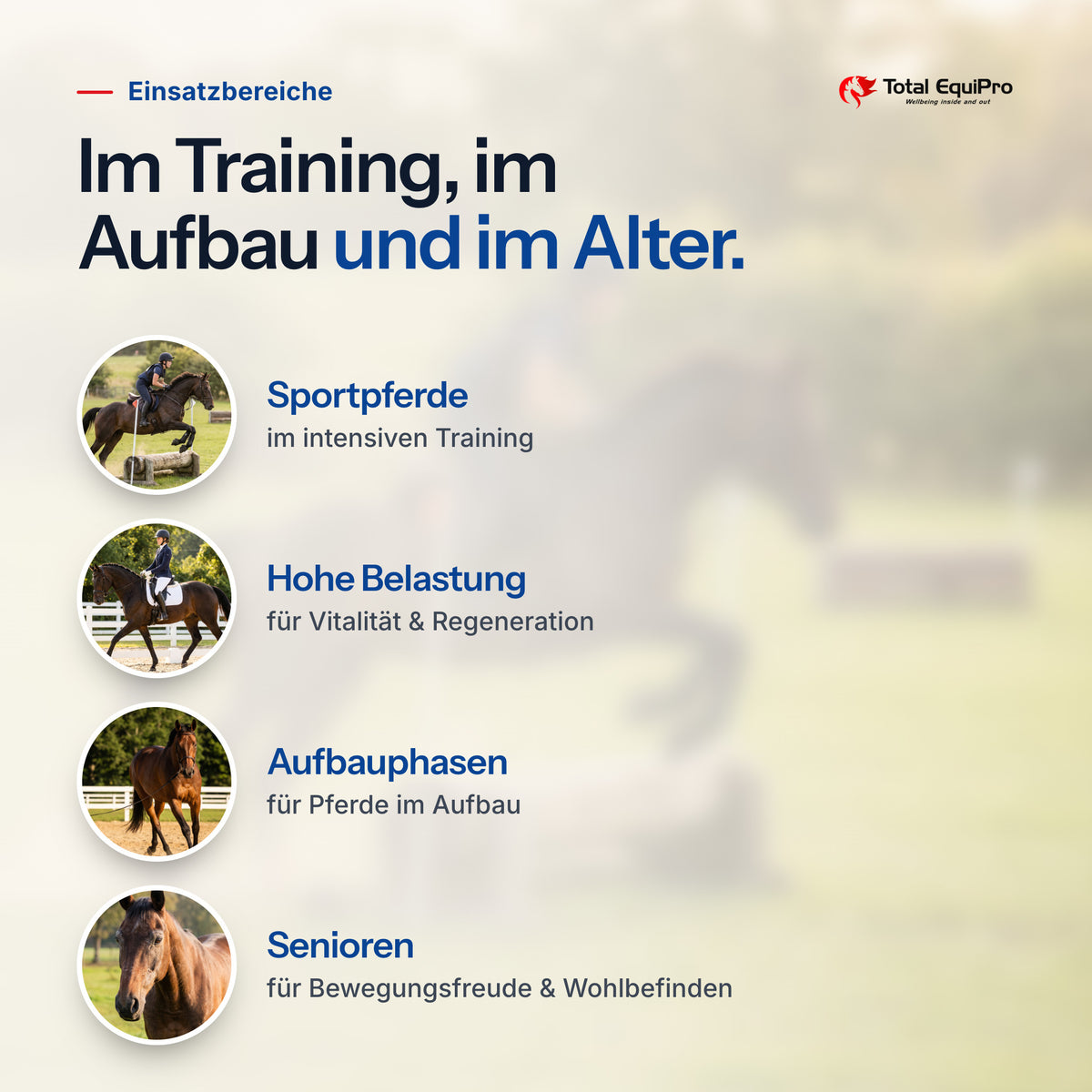 Total Performance Plus Powder – typical uses: sport horses, heavy workloads, build-up phases, veterans