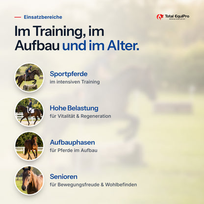 Total Performance Plus Powder – typical uses: sport horses, heavy workloads, build-up phases, veterans