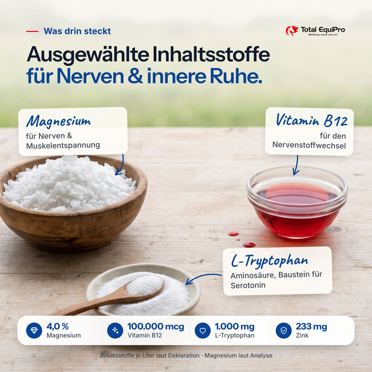 Total Relax Liquid – Inhaltsstoffe: Magnesium, Vitamin B12, L-Tryptophan