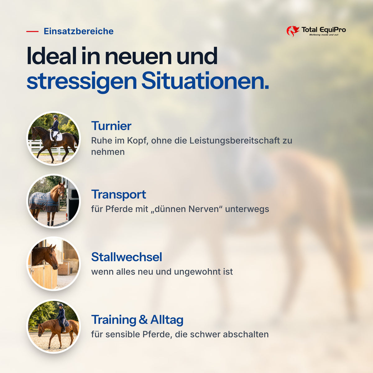 Total Relax Liquid – Einsatzbereiche: Turnier, Transport, Stallwechsel, Training & Alltag